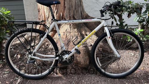 Schwinn Impact Pro scheda tecnica e recensioni